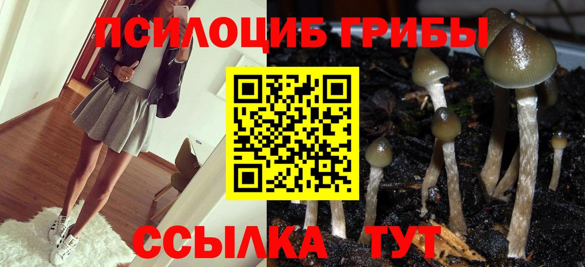 Братск  Псилоцибиновые грибы Magic Shrooms  Псилоцибиновые грибы Psilocybe  Вход с VPN 